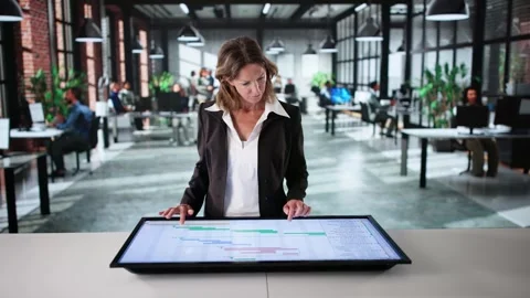 Project Management Software And Business Plan Schedule Stock Footage 308747195