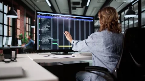 Project Management Software And Business Plan Schedule Stock Footage 309301753