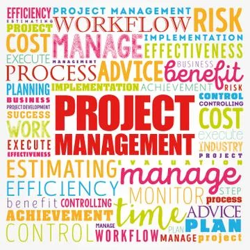 Project Management word cloud collage, business concept background Stock Illustration