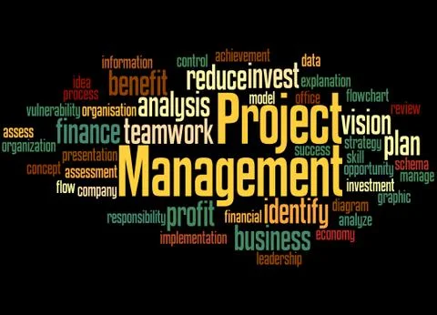 Project Management, word cloud concept Stock Illustration