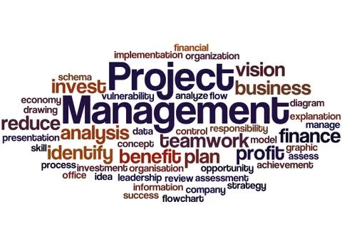 Project Management, word cloud concept Stock Illustration