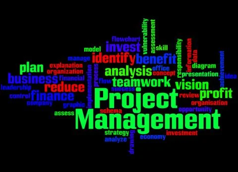 Project Management, word cloud concept Stock Illustration
