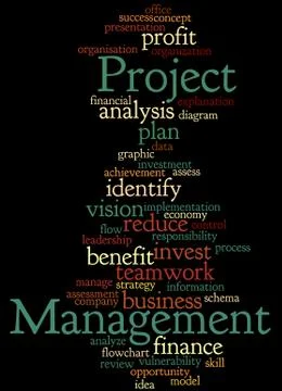 Project Management, word cloud concept Stock Illustration