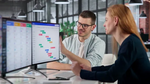 Project Manager Leading Diverse Team Through Software Development Stock Footage 333397573