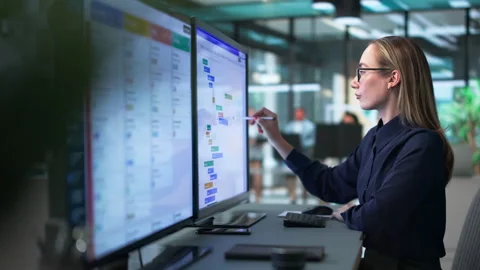 Project Manager Reviewing Gantt Chart Schedule Stock Footage 338170374