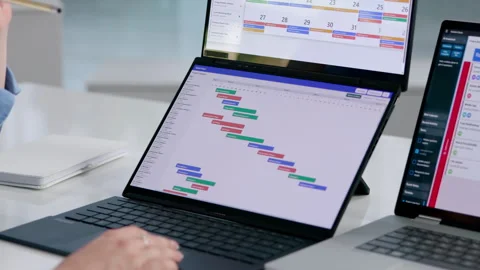 Project Manager Reviewing Gantt Chart Timeline Stock Footage 342984119