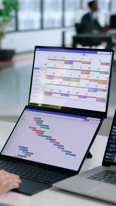 Project Manager Reviewing Gantt Chart Timeline Stock Footage 343886470