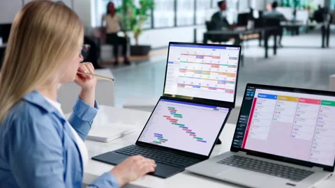 Project Manager Reviewing Gantt Chart Timeline Stock Footage 345325160
