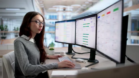 Project Manager Tracks Employee Hours Using Computer Stock Footage 334927128