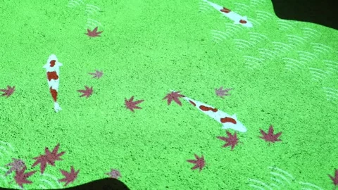 Projecting glowing carp fish and leaf patterns onto green sand in a zen garde Stock Footage 346008585