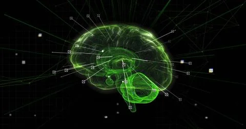 Projecting neon green wireframe brain in virtual grid, radiating connection Stock Photos