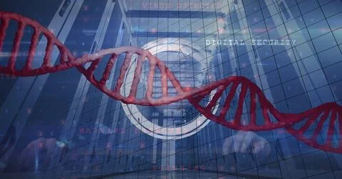 Projecting red DNA double helix floating above server racks at data center with Foto stock