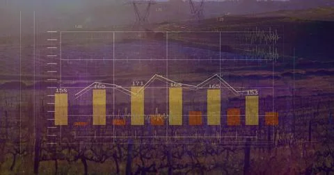 Projecting translucent bar chart over vineyard at dusk, showing white line, Stock Photos