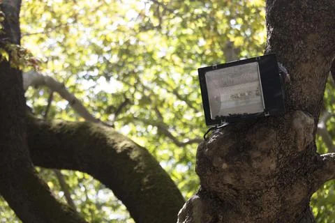 A projector lamp placed on a tree. close up Stock Photos