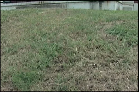 Projects house Video stock 7819110