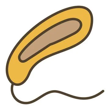 Prokaryote Bacteria vector concept colored icon or symbol Stock Illustration