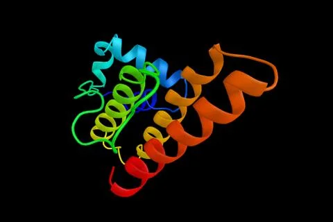 Prokaryotic phospholipase A2, which enables the liberation of fatty acids a.. Stock Illustration