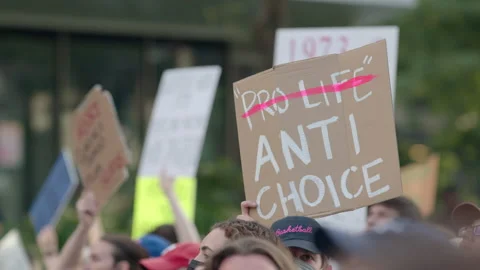 ProLife Anti Choice Abortion Protest Sign 4k Stock Footage 201638215