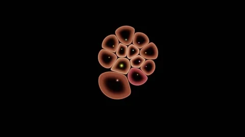 Proliferation Marker Lights Only The Dividing Cell Nuclei Stock-Footage 344512618