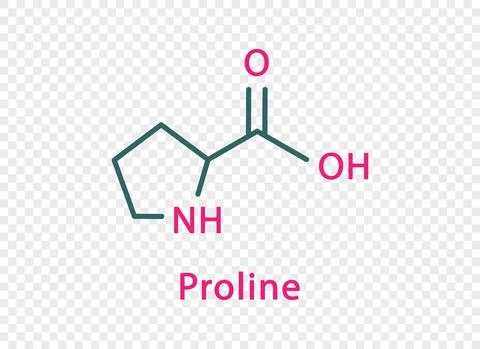 Proline chemical formula. Proline structural chemical formula isolated on Stock Illustration