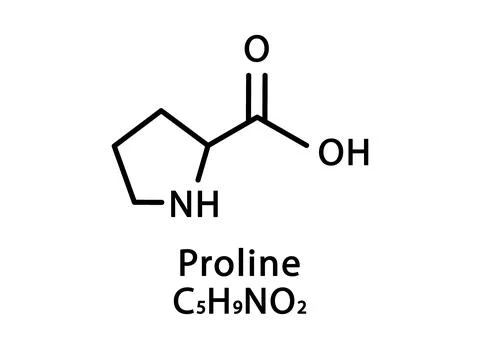 Proline molecular structure. Proline skeletal chemical formula. Chemical Stock Illustration