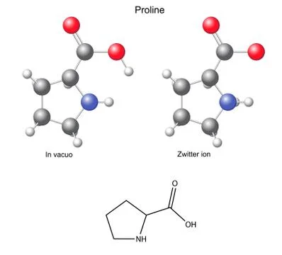 Proline (Pro) - chemical structural formula and models Stock Illustration