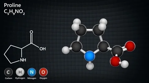 Proline. Seamless loop. Stock Footage 152764801