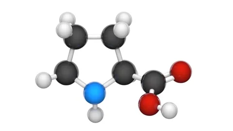 Proline. Seamless loop. White background. Stock Footage 152764811