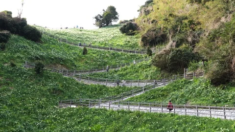 Promenade and steep slope path Stock Footage 161868137