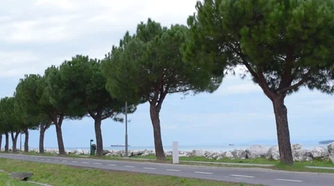 Promenade, empty sea path Video stock 60225234