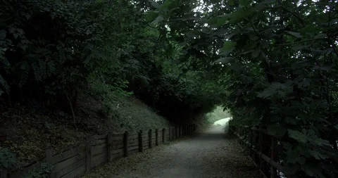 Promenade in the park with evocative vegetation Stock Footage 116608542