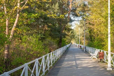 Promenade path through a pine forest with a white bench in Dziwnow Poland Stock Photos