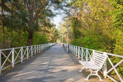 Promenade path through a pine forest with a white bench in Dziwnow Poland Stock Photos