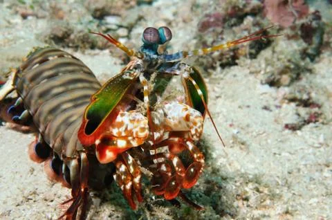On a promenade Stock Photos