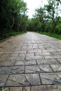 Promenade route of pavement rectangular paving tile in the evergreen tropical Stock Photos