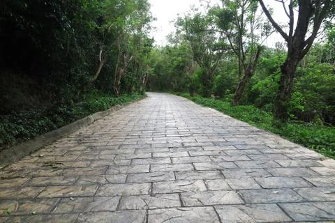 Promenade route of pavement rectangular paving tile in the evergreen tropic.. Stock Photos