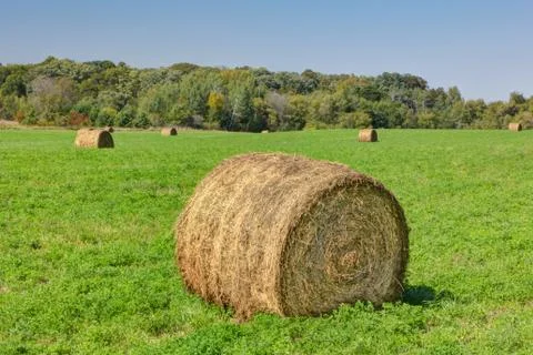 Prominent single haystack Fotos de archivo