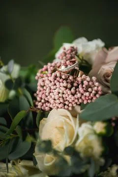 A Promise in Bloom Stock Photos