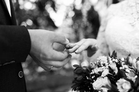 The Promise Foto stock