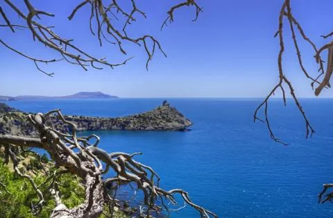 Promontory between branches Stock Photos