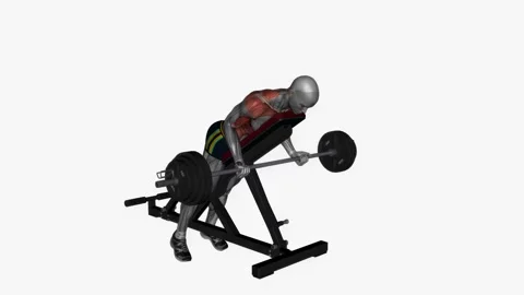 Prone bench row barbell reverse grip  fitness exercise workout animation male mu Video stock 243984132