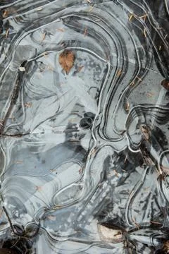 Proof of winter Stock Photos