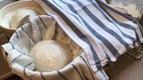 Proofing Dough for Baking Bread during Covid19 Stock Footage 134215123