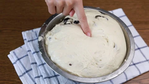 Proofing Dough In Room Temperature Stock Footage 160139933