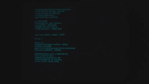 Proogramming language getting displayed on computer screen. Stock Footage 310924383
