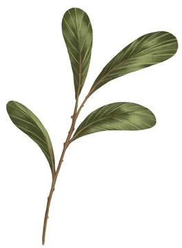 Prop for template Stock Illustration