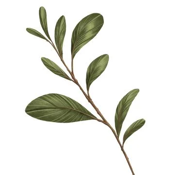 Prop for template Stock Illustration