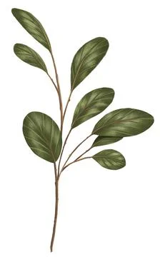 Prop for template Stock Illustration