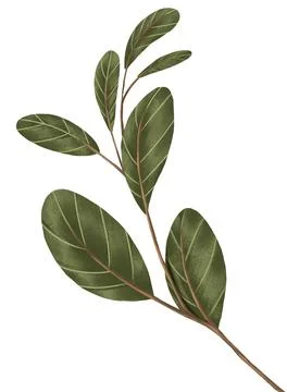 Prop for template Stock Illustration