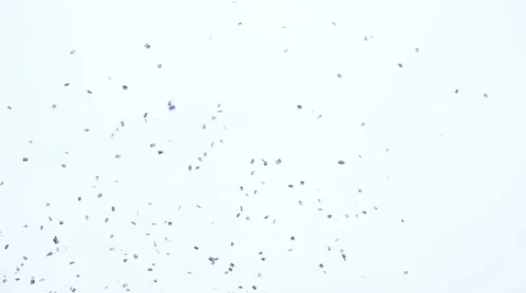 Propagandists leaflets fall from the sky. Stock Footage 61563158
